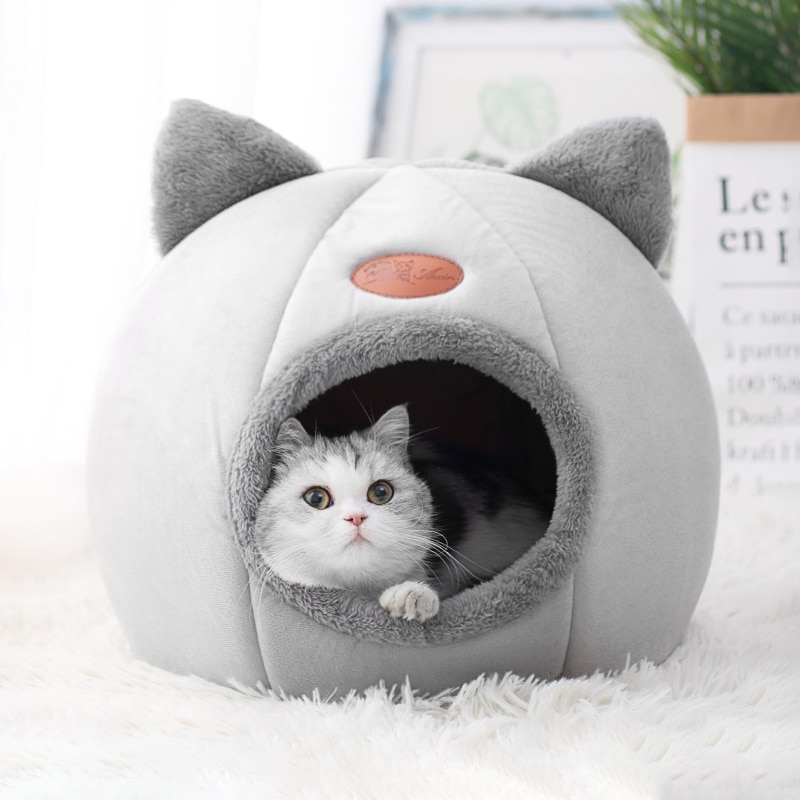 Caminha Iglu para Gatos