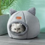 Caminha Iglu para Gatos