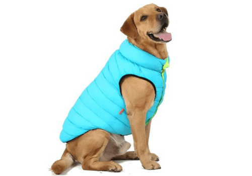 Roupa de frio para cachorro - dupla face impermeavel