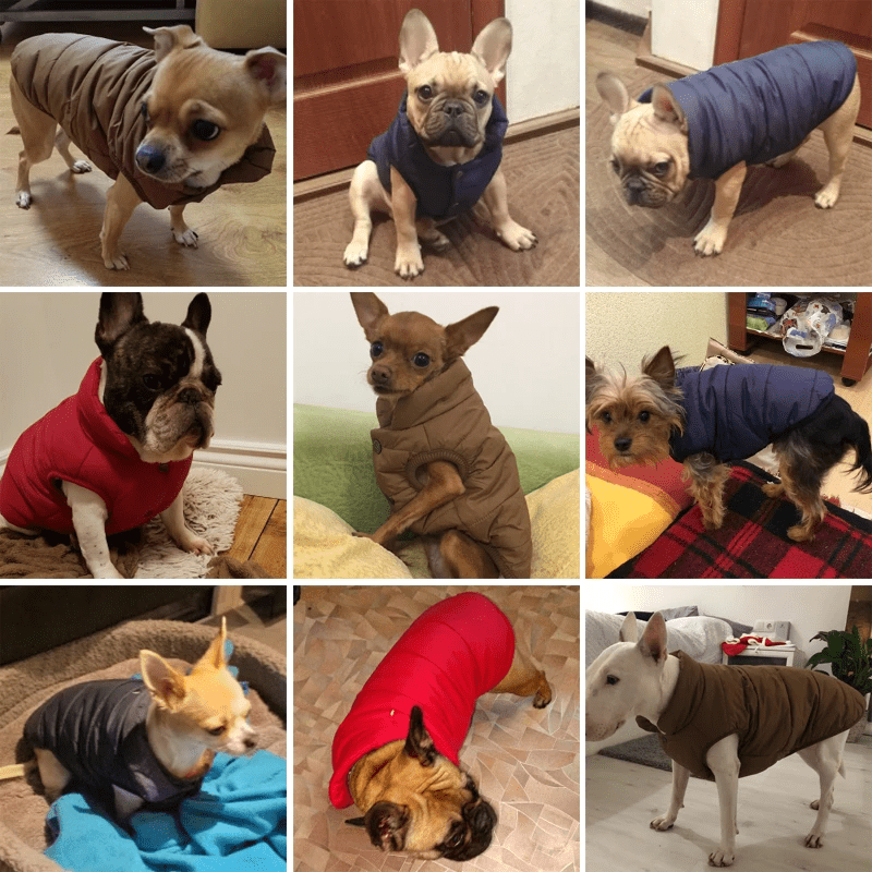 Roupa Pet Inverno para Cachorro