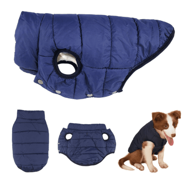 Roupa Pet Inverno para Cachorro Azul