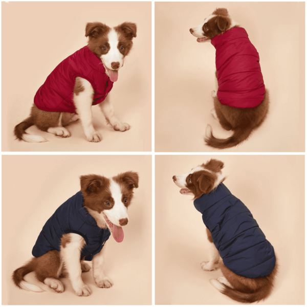 Roupa Pet Inverno para Cachorro – Colete de frio fotos azul e vermelho