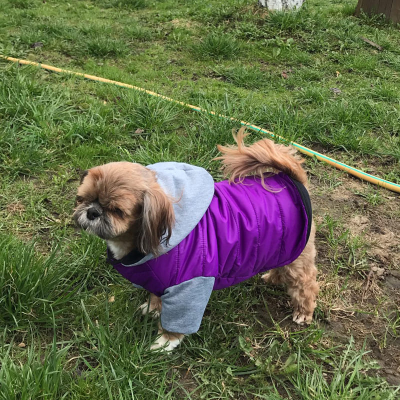 Roupa Pet Inverno com Capuz Para Cachorro