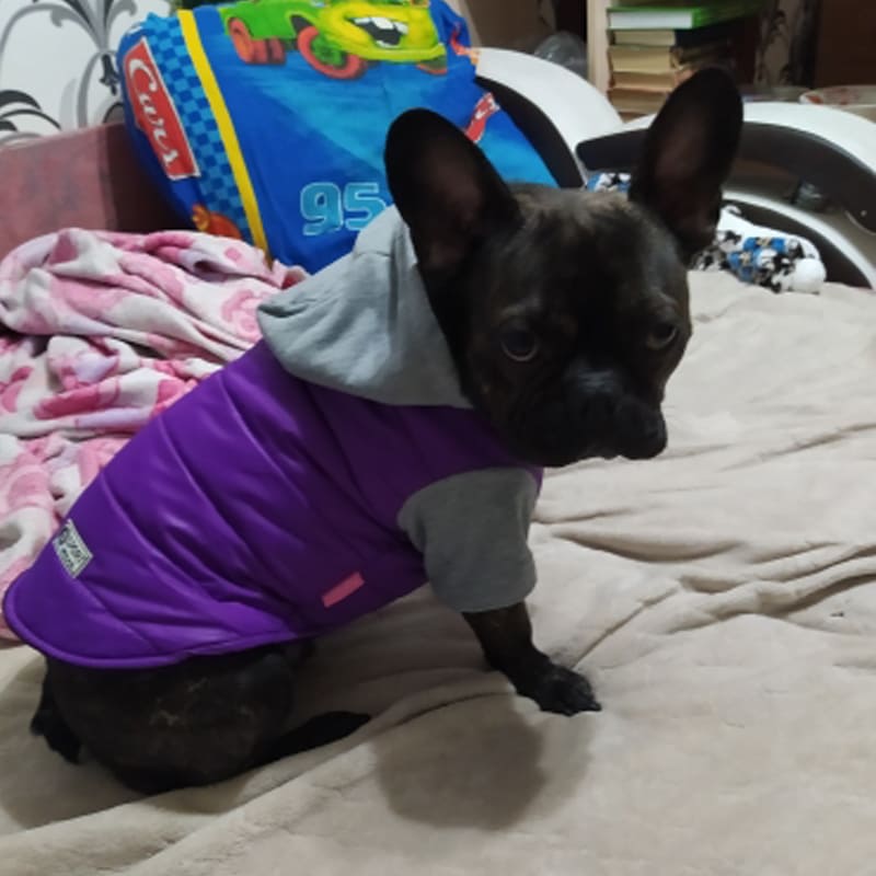 Roupa Pet Inverno com Capuz Para Cachorro