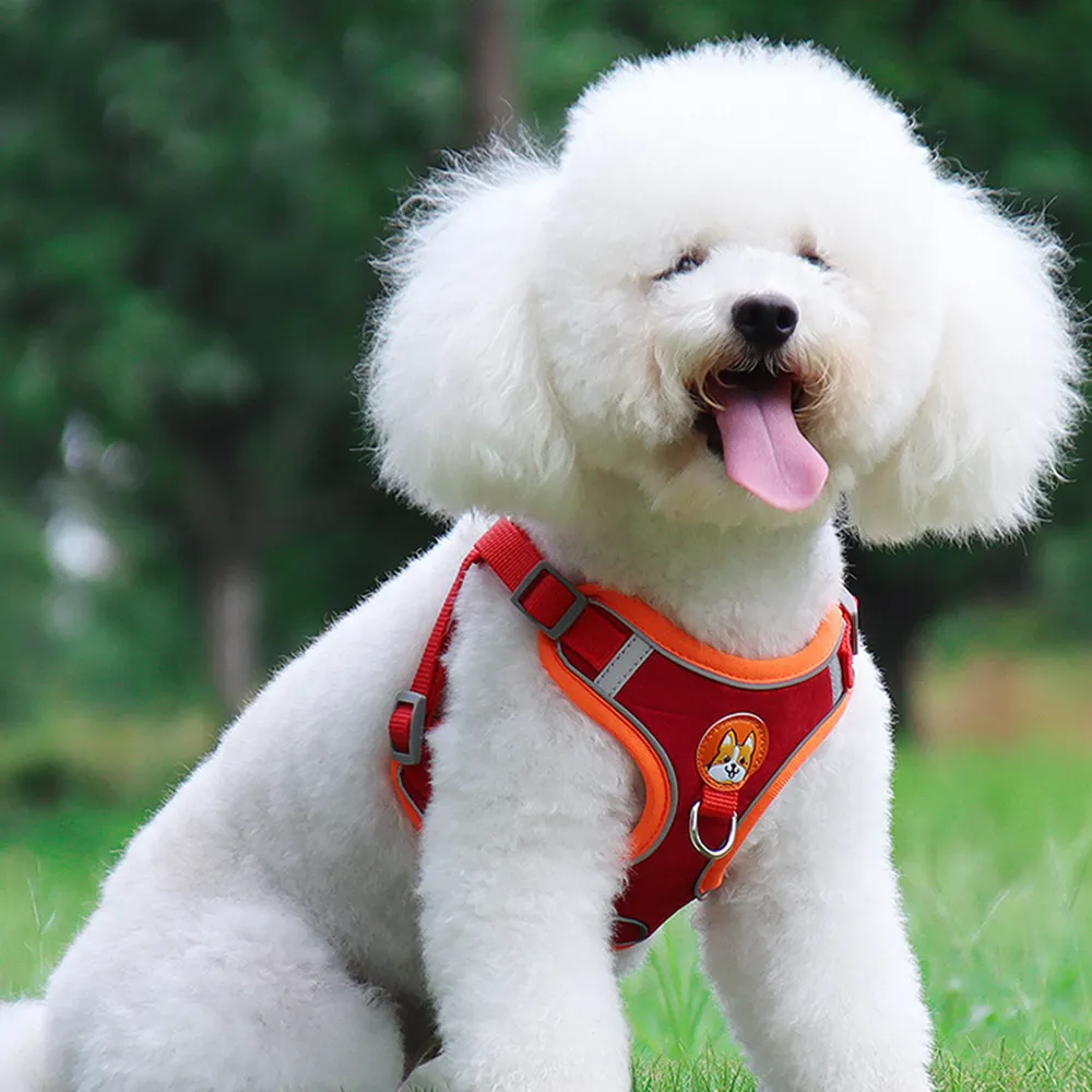 Peitoral para Cachorros Anti Puxão Reflexivo Vermelho no Poodle