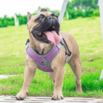 Coleira Peitoral para Cachorro Ajustável Refletiva Lilás