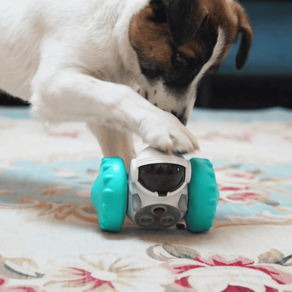 Brinquedo Interativo Alimentador para Cachorro e Gato