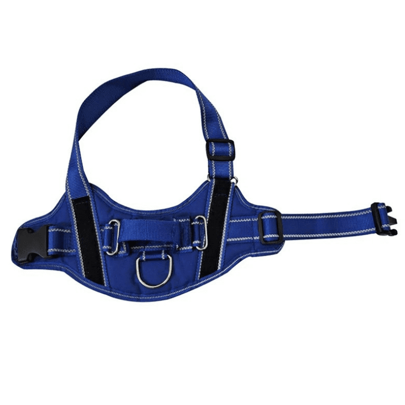 Coleira para Cachorro Peitoral Personalizada Aberta - Azul