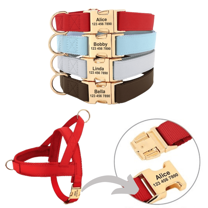 Conjunto Personalizado Coleira, Peitoral Antipuxão e Guia para Cachorro - Personalização nome do Pet