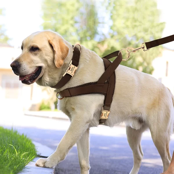 Conjunto Personalizado Coleira, Peitoral Antipuxão e Guia para Cachorro – Marrom - Cachorro