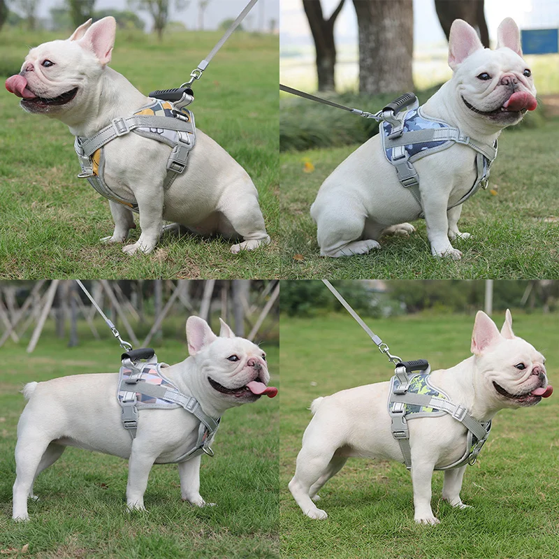 Coleira Peitoral para Cachorro Grande Antipuxão com Alça