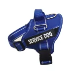 Coleira para Cachorro Peitoral Personalizada – Azul