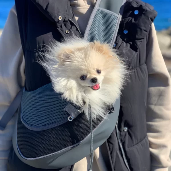 Bolsa de Ombro para Transporte Pet – Lulu da Pomerânia