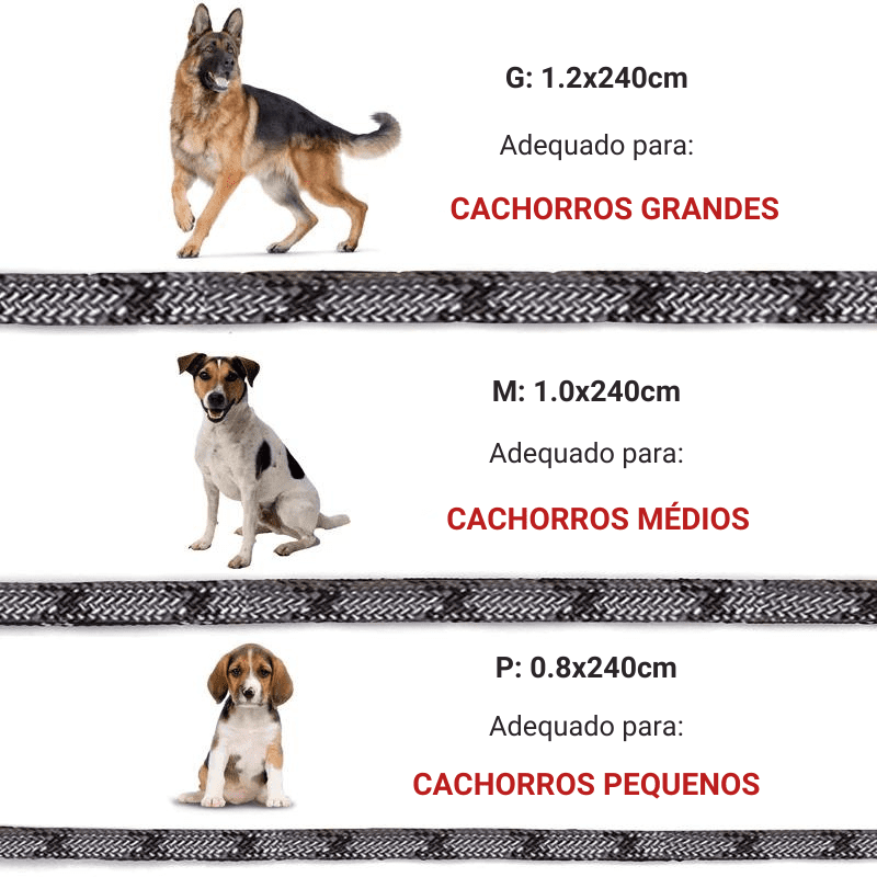 Guia Mãos Livres para Cachorros