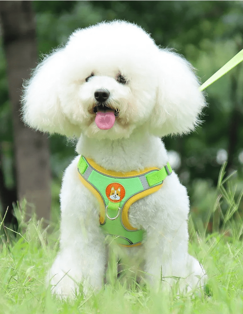 Peitoral para Cachorros Ajustável com Guia - Verde