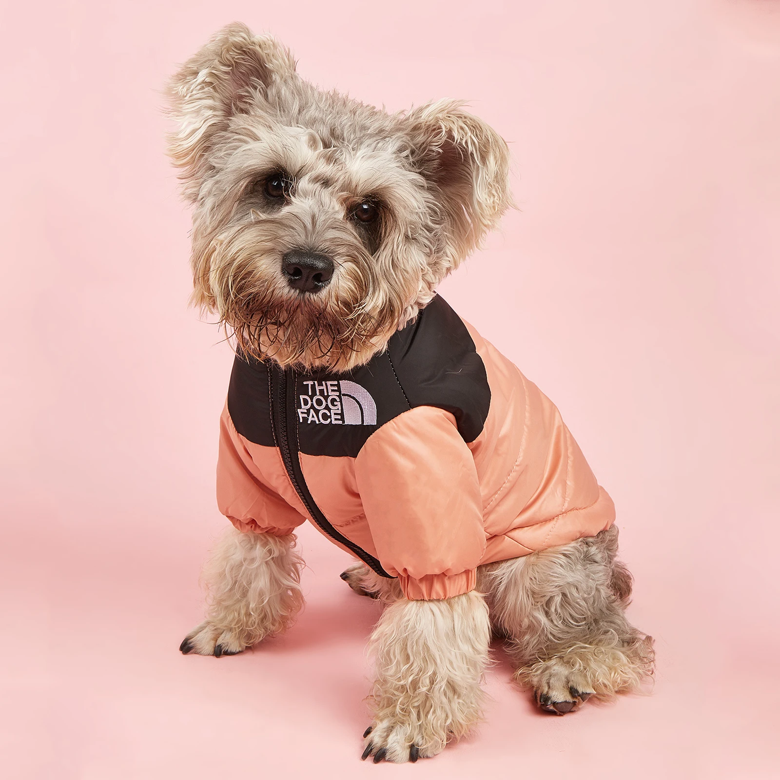 Jaqueta de Frio para Cachorros Acolchoada Dog Face