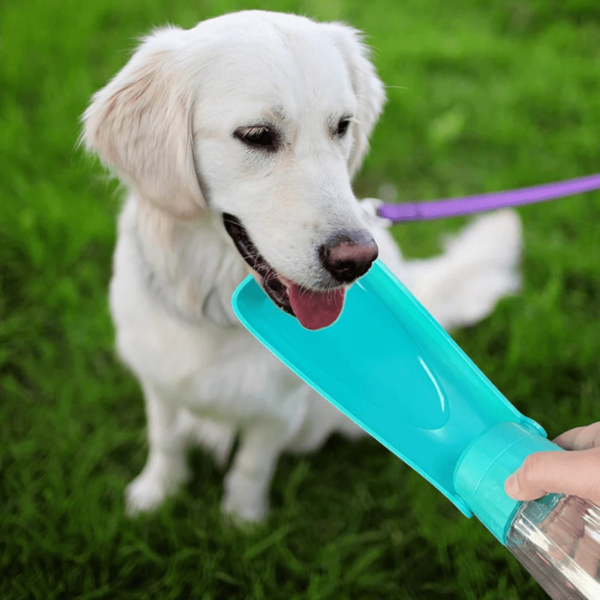 Garrafa de Água Portátil para Cães 550ml – Tigela grande para o pet