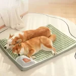 Cama para Cachorro em Pelúcia com Zíper – Espuma grossa - Verde