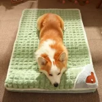 Cama para Cachorro em Pelúcia com Zíper – Espuma grossa - Verde