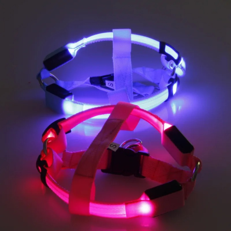 Coleira LED para Cachorro Recarregável