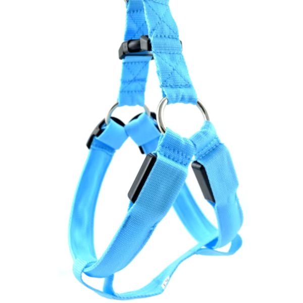 Coleira LED para Cachorro Recarregável Azul