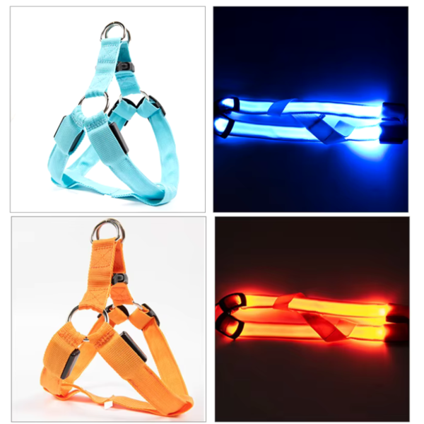 Coleira LED para Cachorro Recarregável – Azul e Laranja