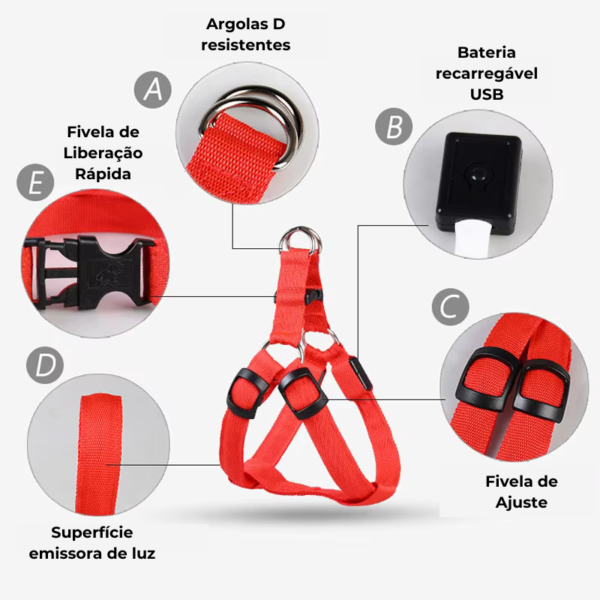 Coleira LED para Cachorro Recarregável – Composição