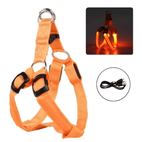 Coleira LED para Cachorro Recarregável – Laranja