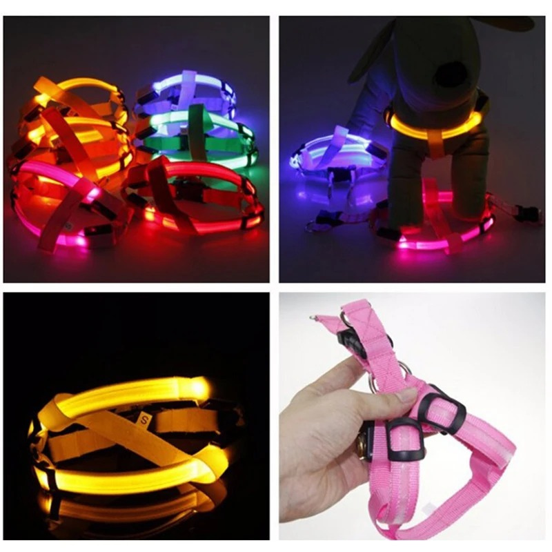 Coleira LED para Cachorro Recarregável