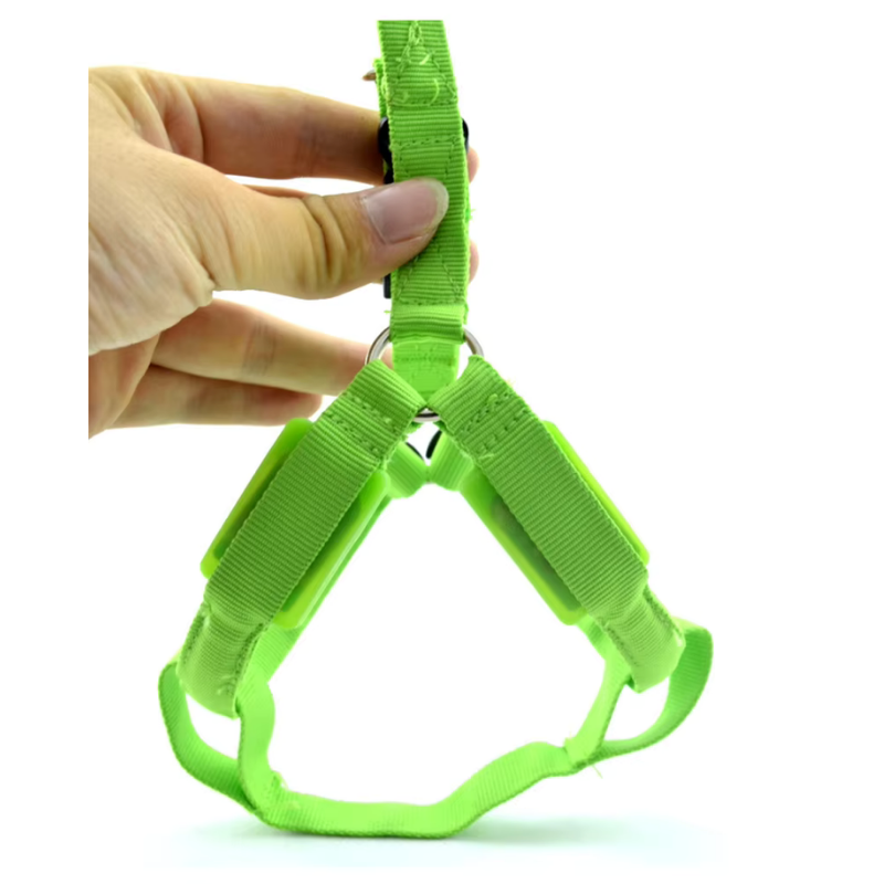 Coleira LED para Cachorro Recarregável