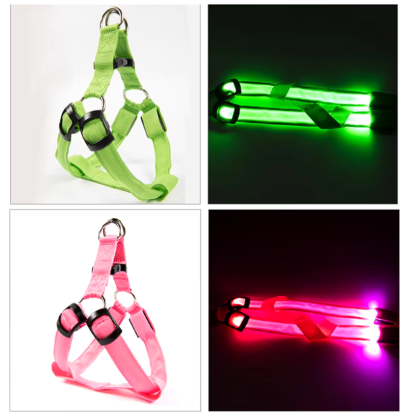Coleira LED para Cachorro Recarregável – Verde e Rosa
