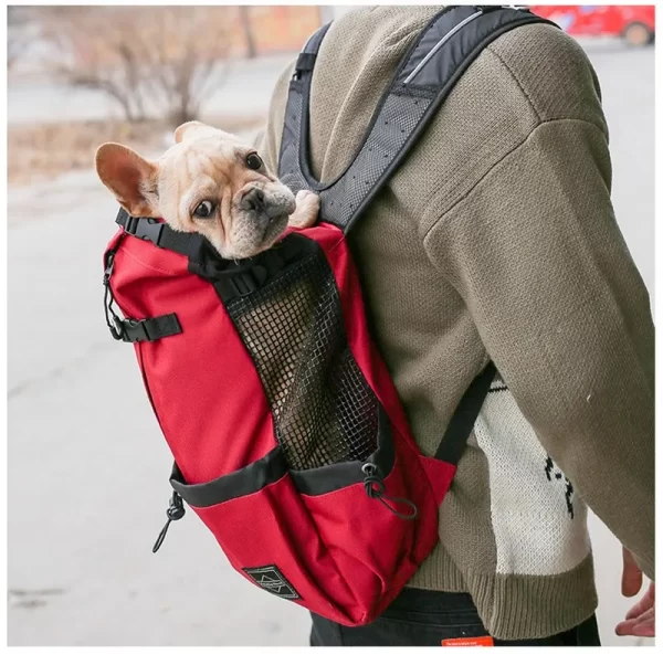 Mochila de Passeio Pet Carrier para Cachorro