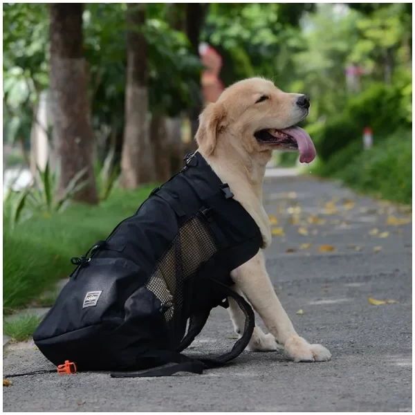 Mochila de Passeio Pet Carrier para Cachorro