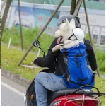 Mochila de Passeio Pet Carrier para Cachorro