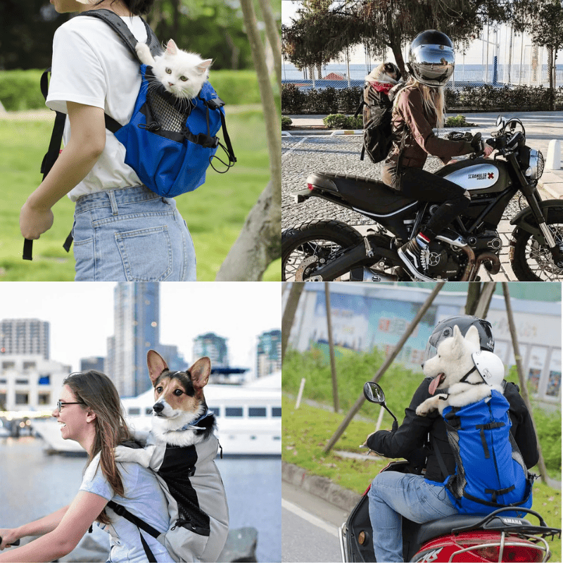 Mochila de Passeio Pet Carrier para Cachorro