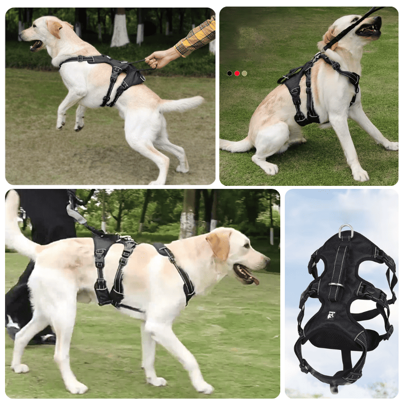 Peitoral Antifuga para Cachorros Médios e Grandes