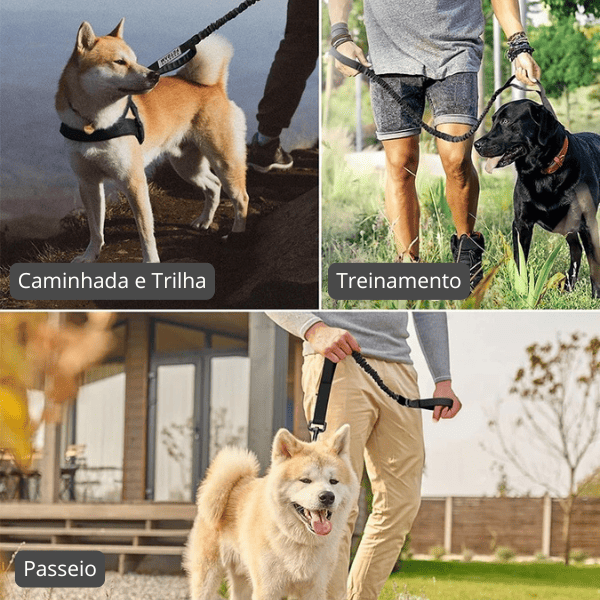 Guia para Cachorro Tática Elástica com 2 Alças - Usos