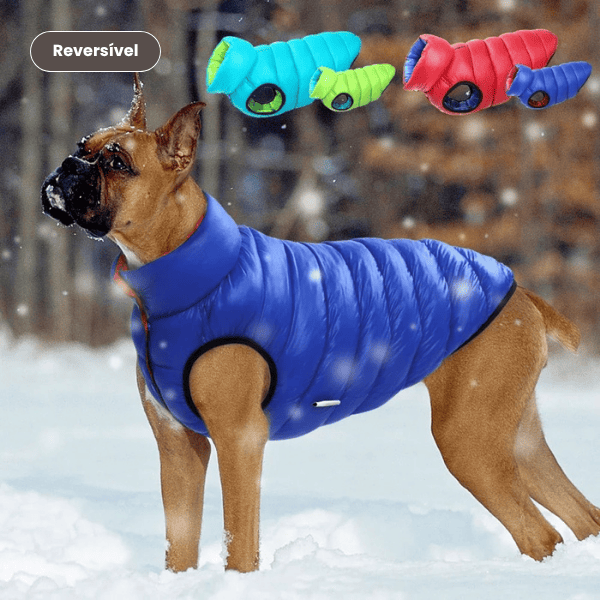 Roupa de frio para Cachorro – Dupla Face e impermeável reversivel