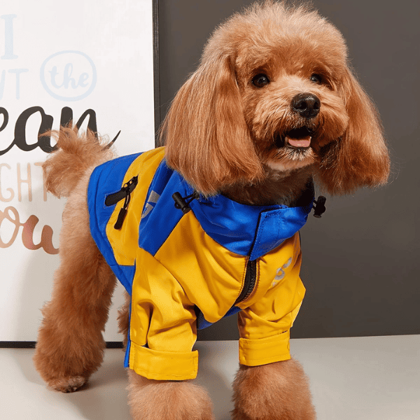 Jaqueta de Inverno Pet Impermeável Corta Vento