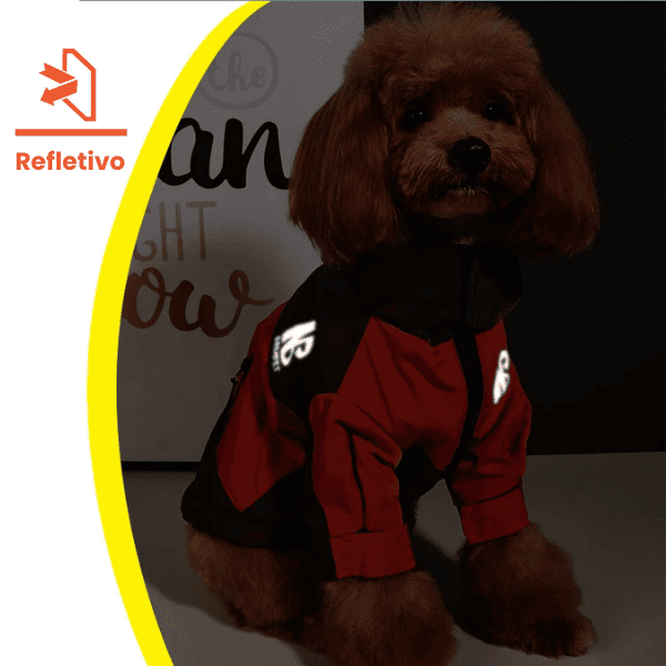 Jaqueta de Inverno Pet Impermeável Corta Vento