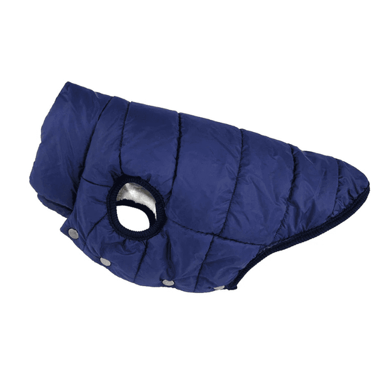 Roupa Pet Inverno para Cachorro – azul