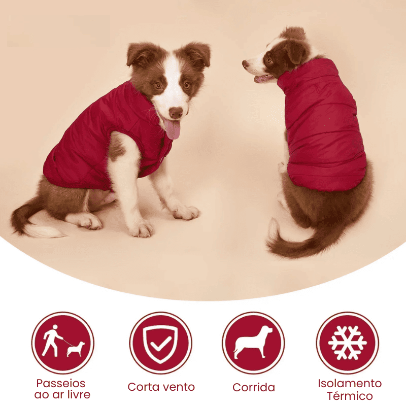 Roupa Pet Inverno para Cachorro – caracteristicas