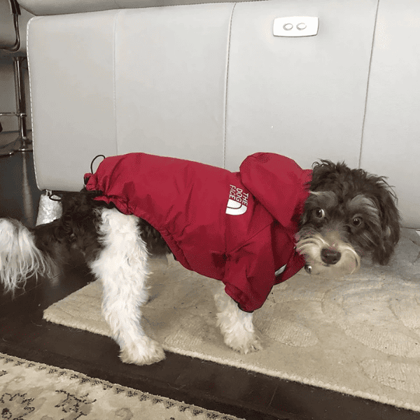 Roupa de Frio para Cachorro Pupreme Dog Face