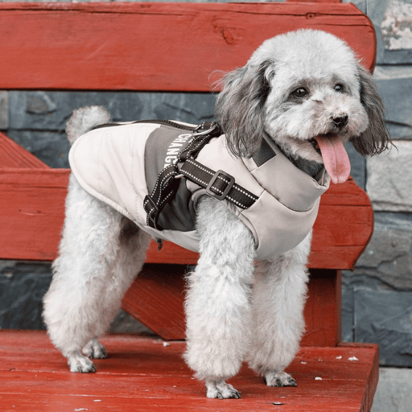 Roupinha de Frio para Cachorro 2 em 1