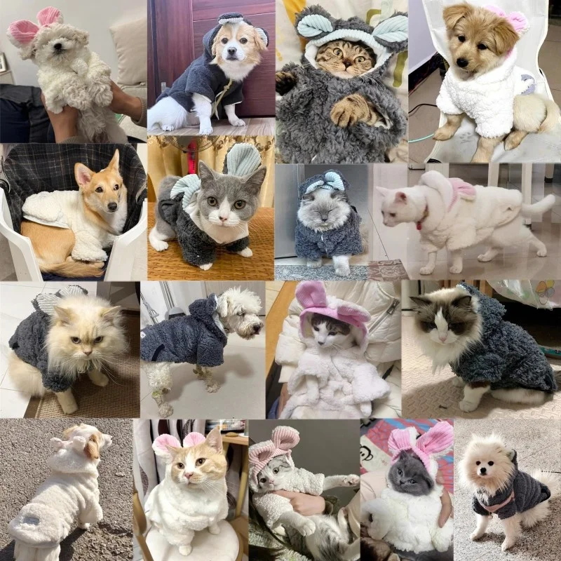 Casaco de Pelúcia para Cachorro Estampa de Urso - Mosaico de fotos