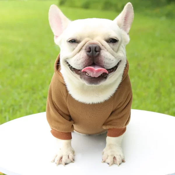 Moletom para Cachorro com Capuz – Raças Pequenas – Marrom
