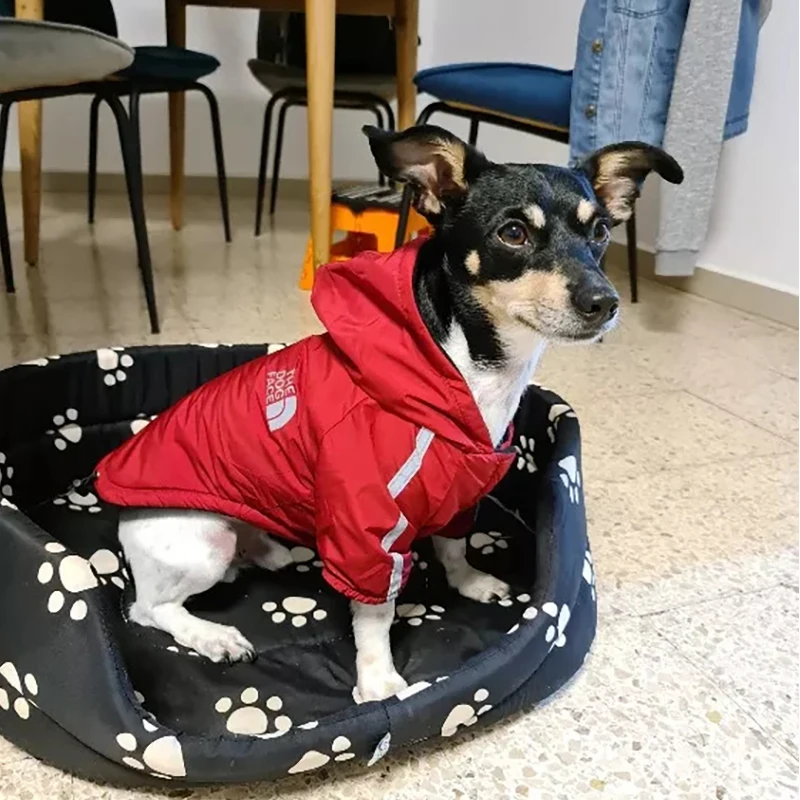 Roupa de Frio para Cachorro Pupreme Dog Face Impermeável vermelho