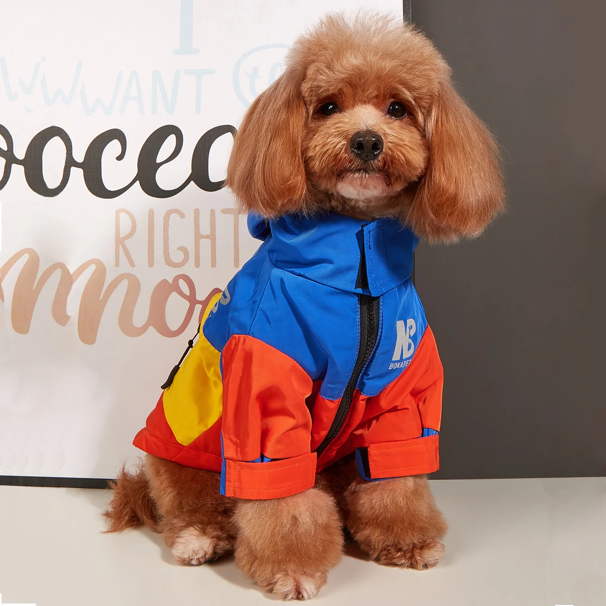 Jaqueta de Inverno Pet Impermeável Corta Vento – forrada de lã