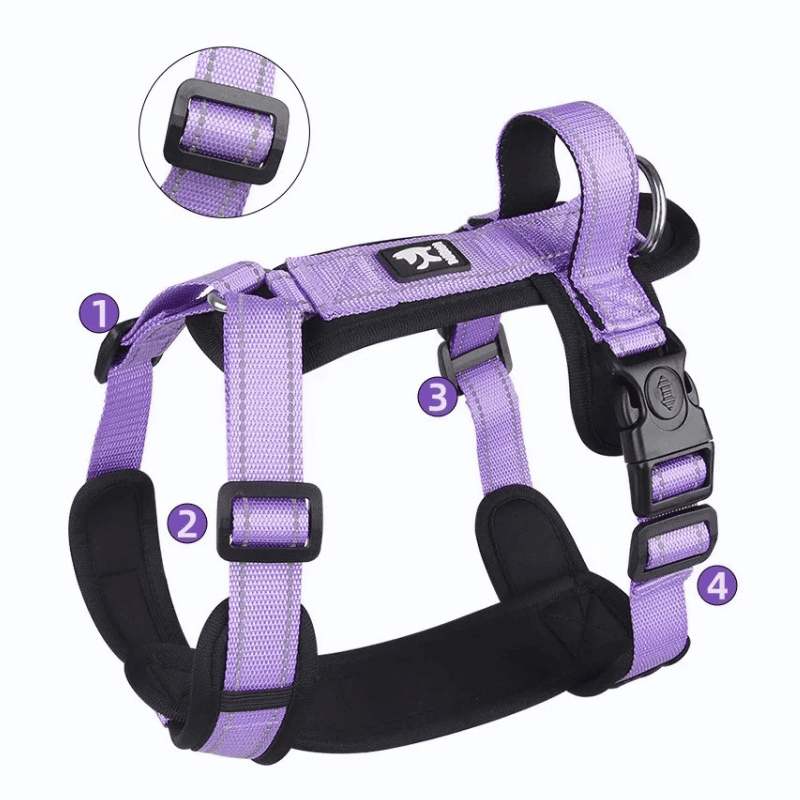 Peitoral H para Cachorros de Médio e Pequeno Portes - roxo