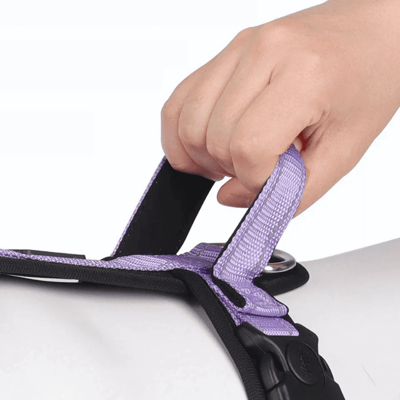 Peitoral H para Cachorros de Médio e Pequeno Portes